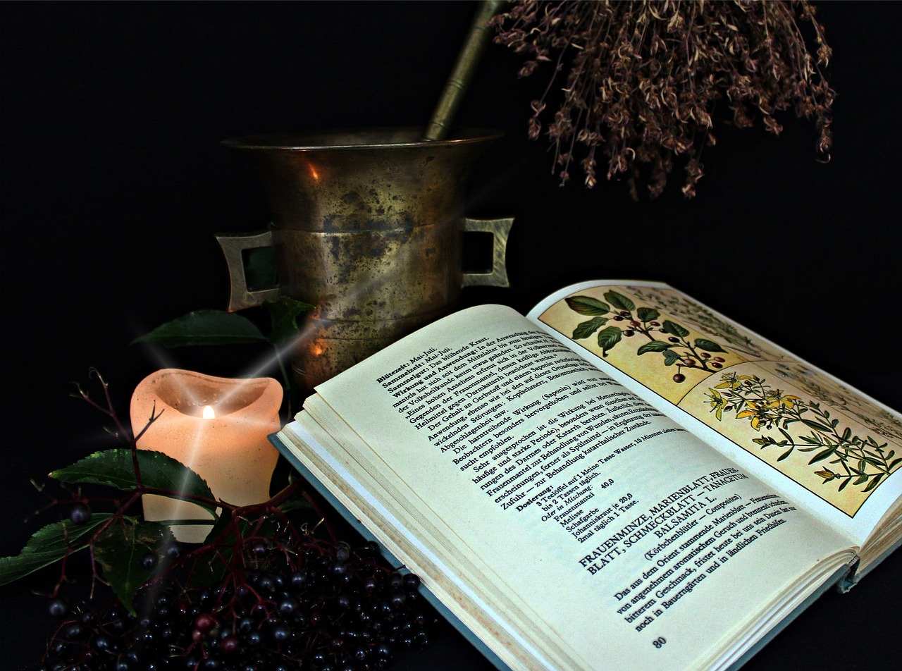 Article image 2